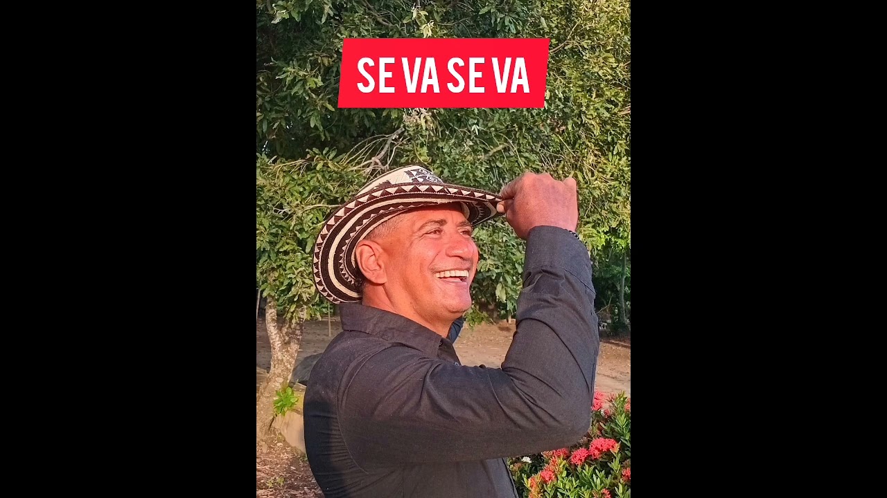 SE VA SE VA | DAVID VARGAS