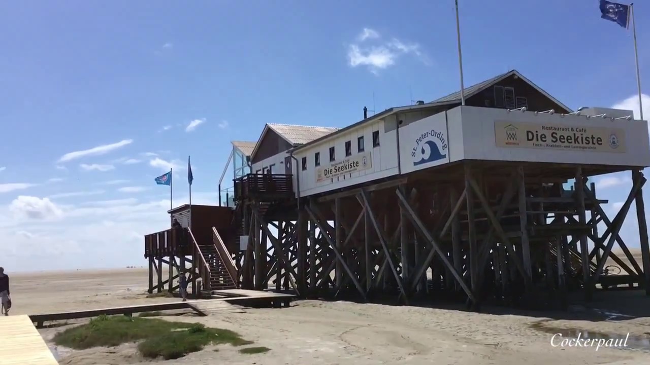 Sankt Peter Ording - der perfekte Urlaub mit Hund an der Nordsee