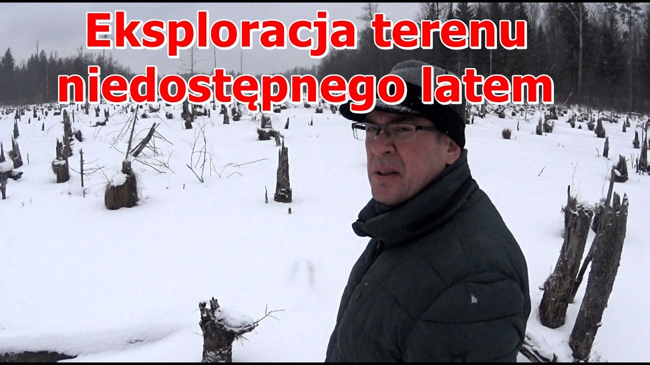 Eksploruję bagienka na czeremchowej Trybie