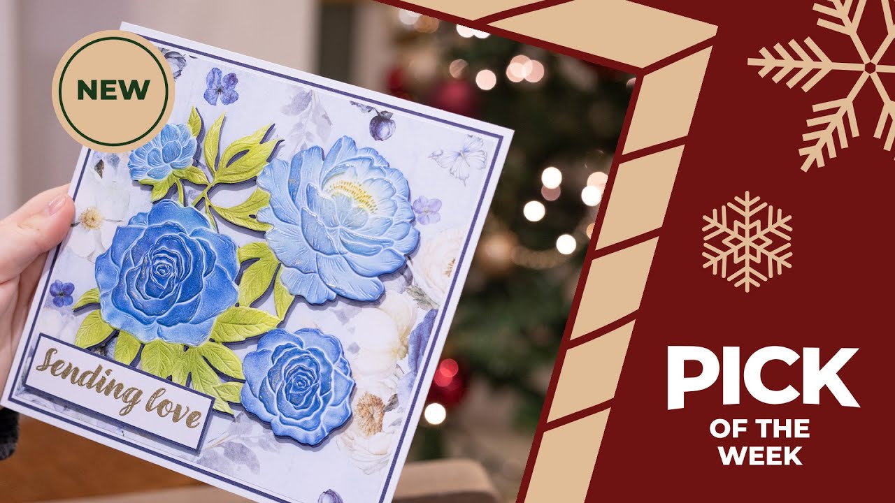 Pick Of The Week: NEW Nature's Garden Midnight Floral Collection (21st November 2025)