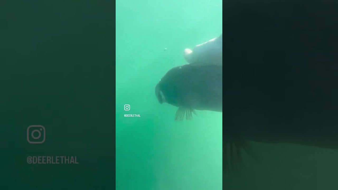 Anyone else thinking of this? 