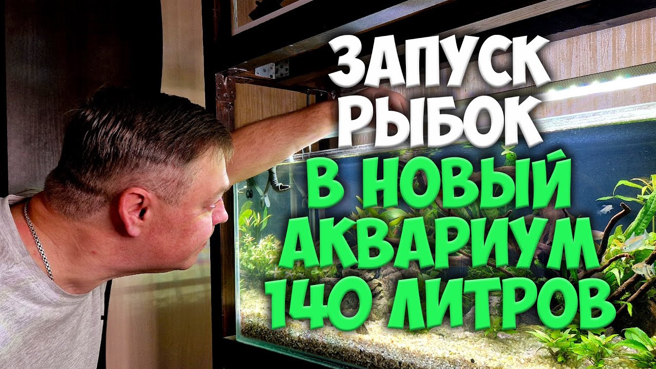 Новые волшебные рыбки для аквариума 140 литров