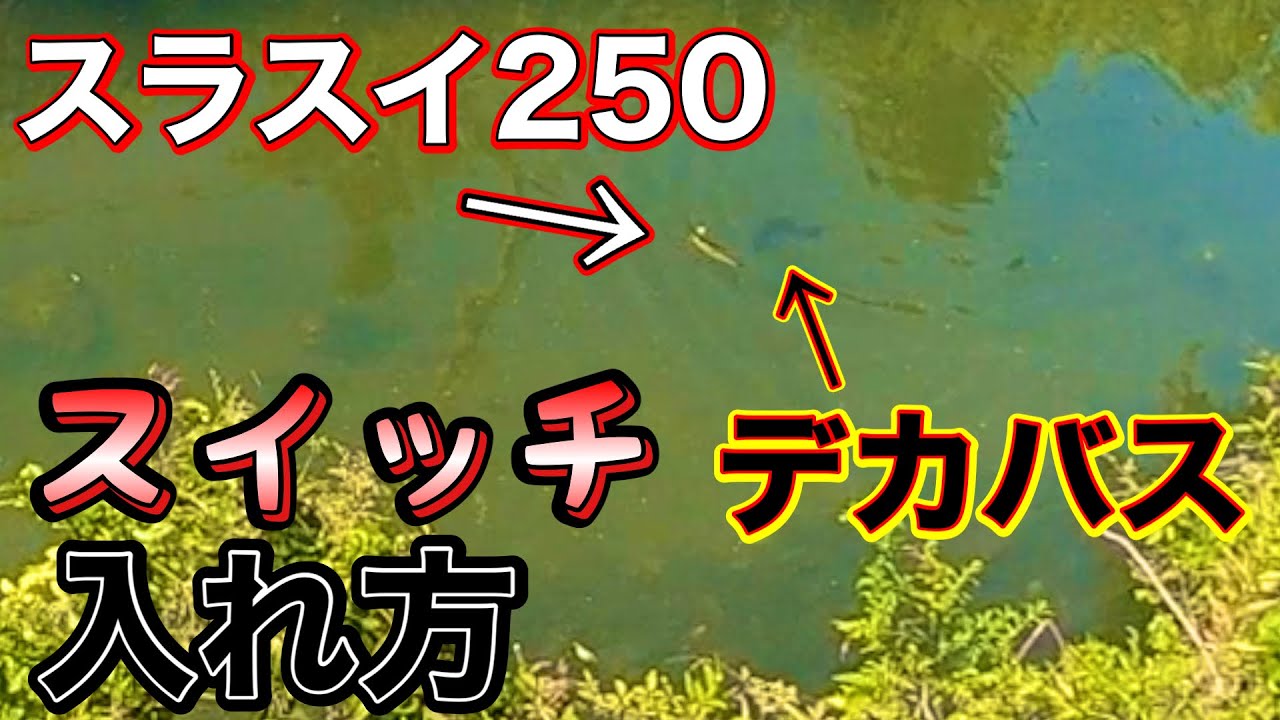 【1日目】スライドスイマー２５０を鬼指導してもらったらエグいバイトが・・・