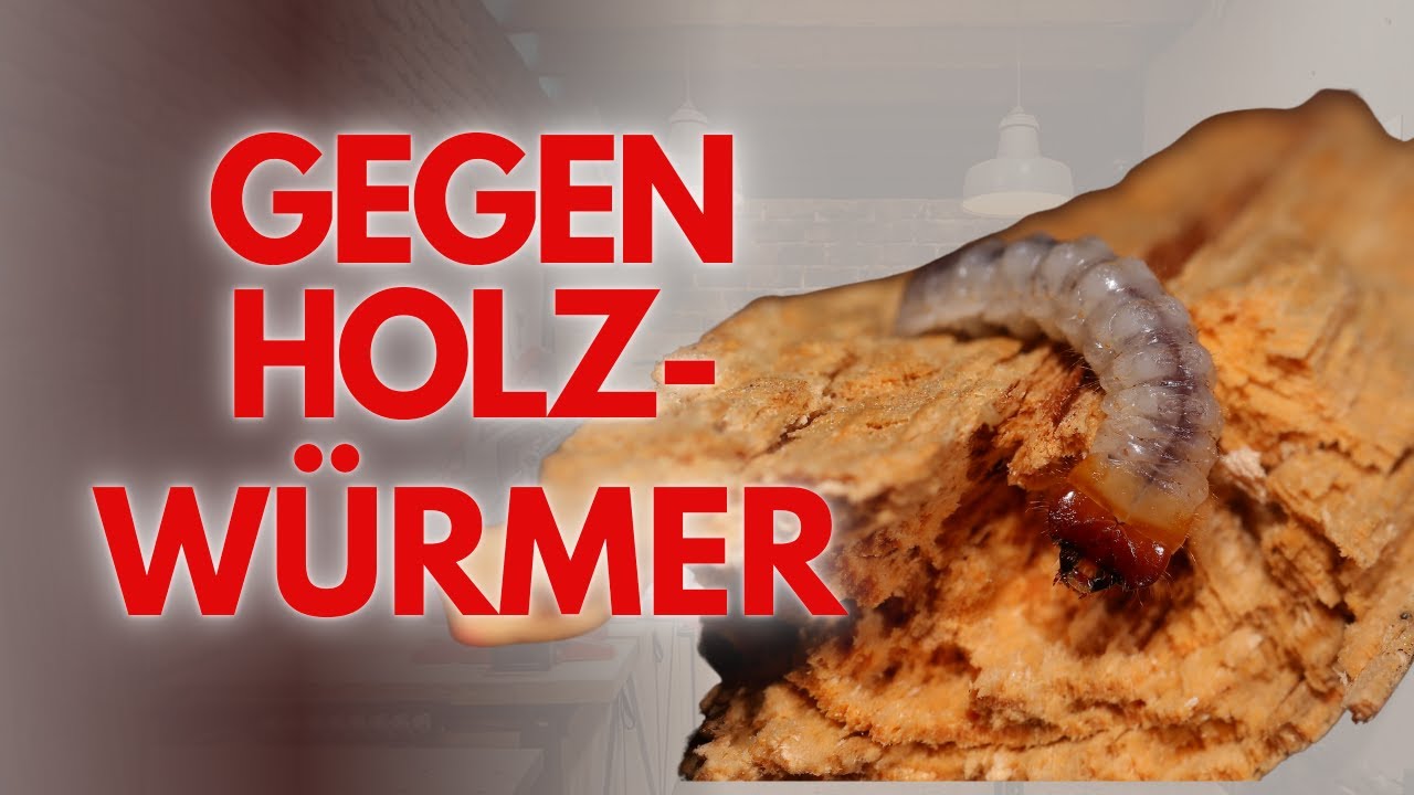 Holzwurm entfernen - die verschiedenen Methoden