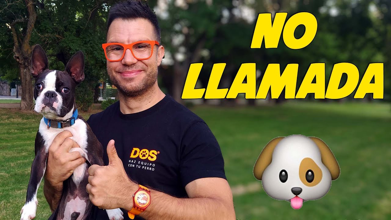 Entrenamiento de No Llamada 🐶 | Enseñar a tu perro a seguirte 😜✌🏼