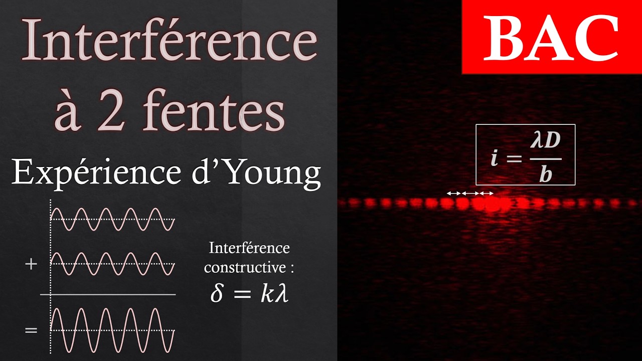 Interf&eacute;rence &agrave; 2 fentes (diffraction) - Exp&eacute;rience d'Young &agrave; 2 fentes | BAC de physique