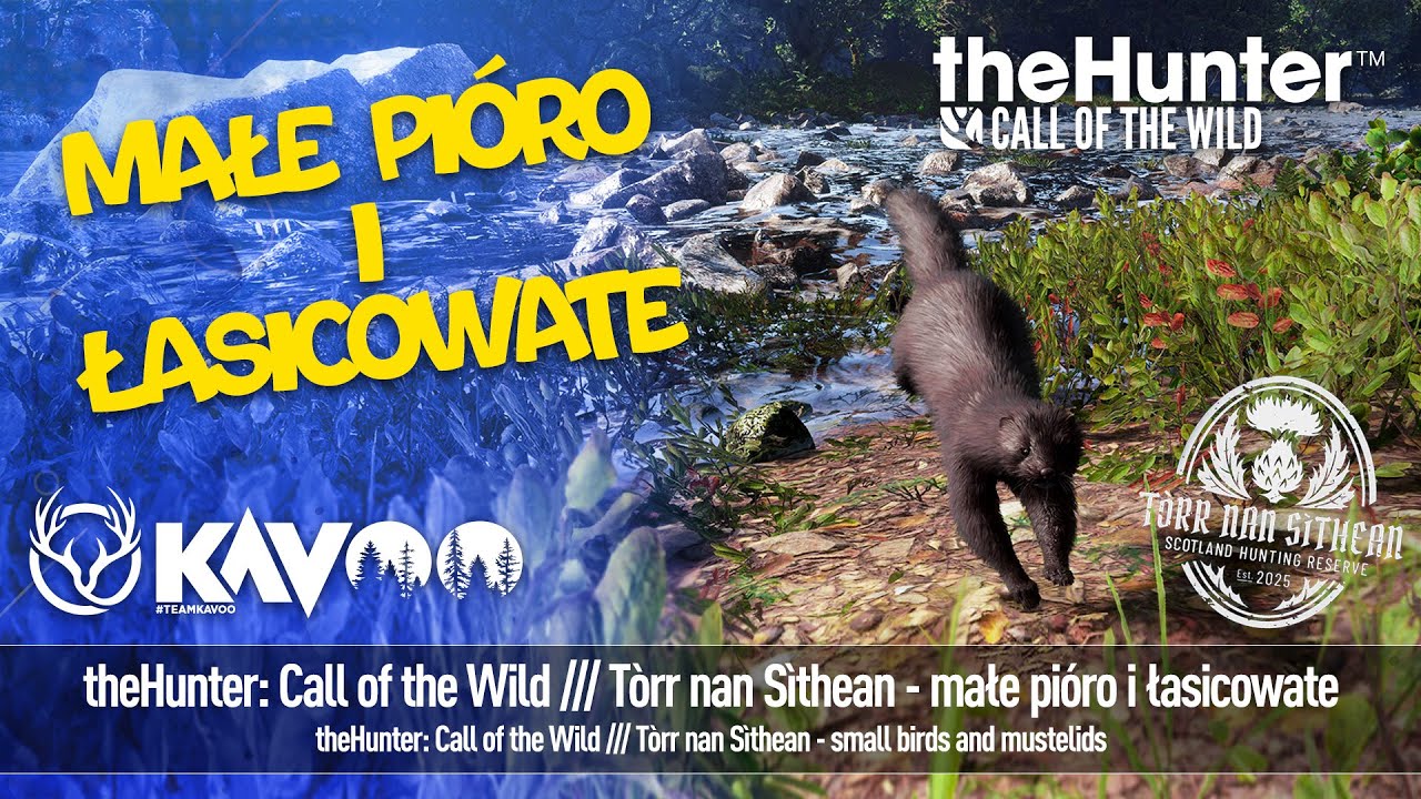 🔴LIVE🔴 theHunter: Call of the Wild /// Tòrr Nan Sìthean - małe pióro i łasicowate