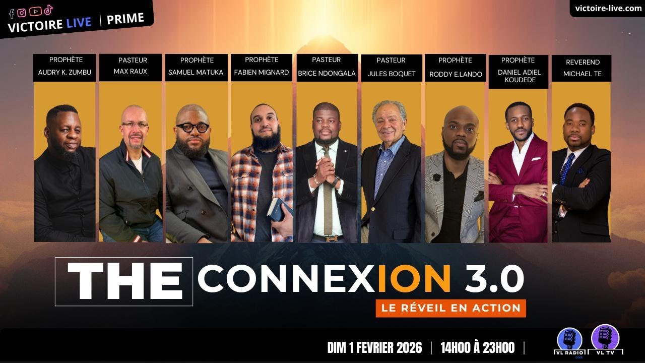 THE CONNEXION 3.0 l LE REVEIL EN ACTION