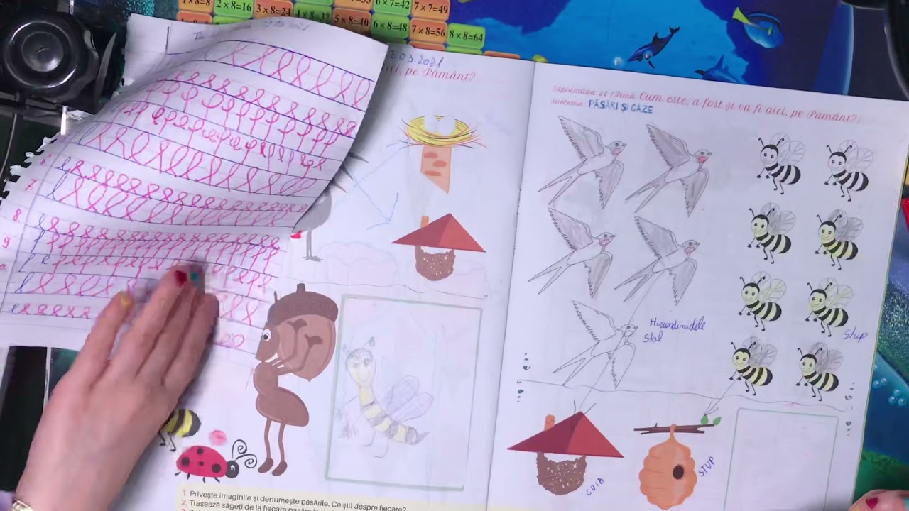 Domeniul Stiinte - cunoasterea mediului pag. 27