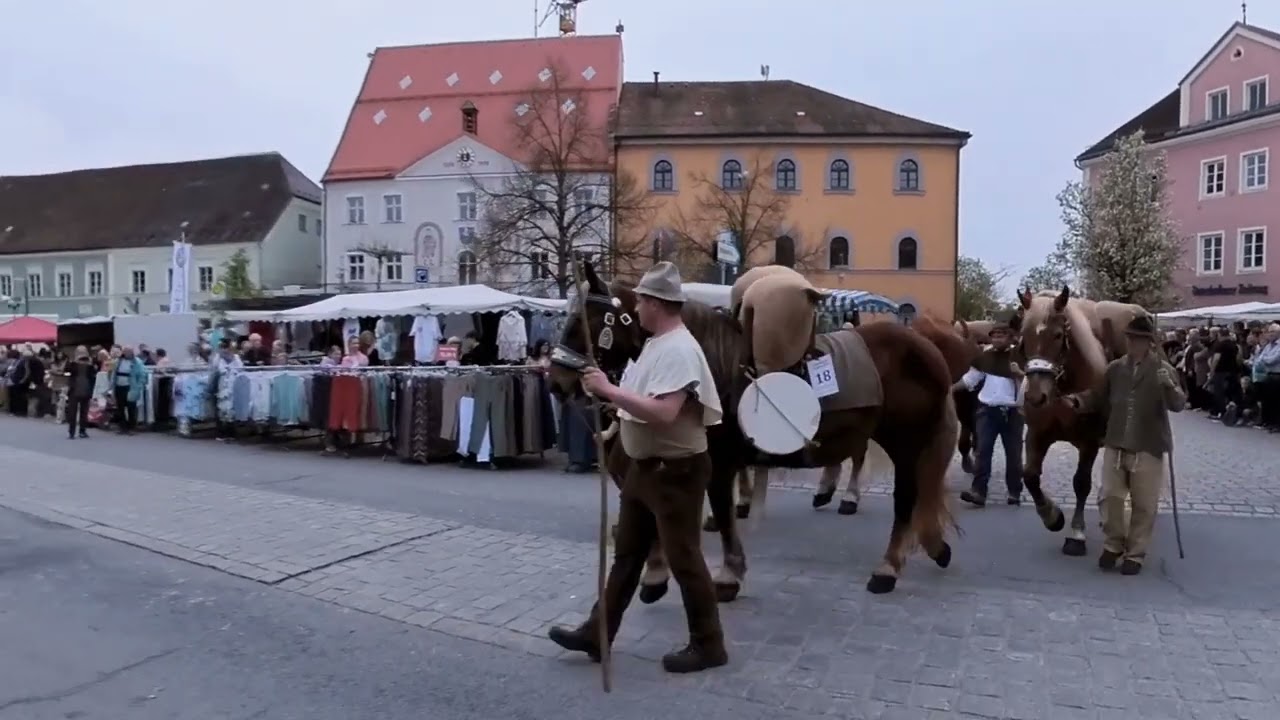 Pferdetag Osterhofen 2025