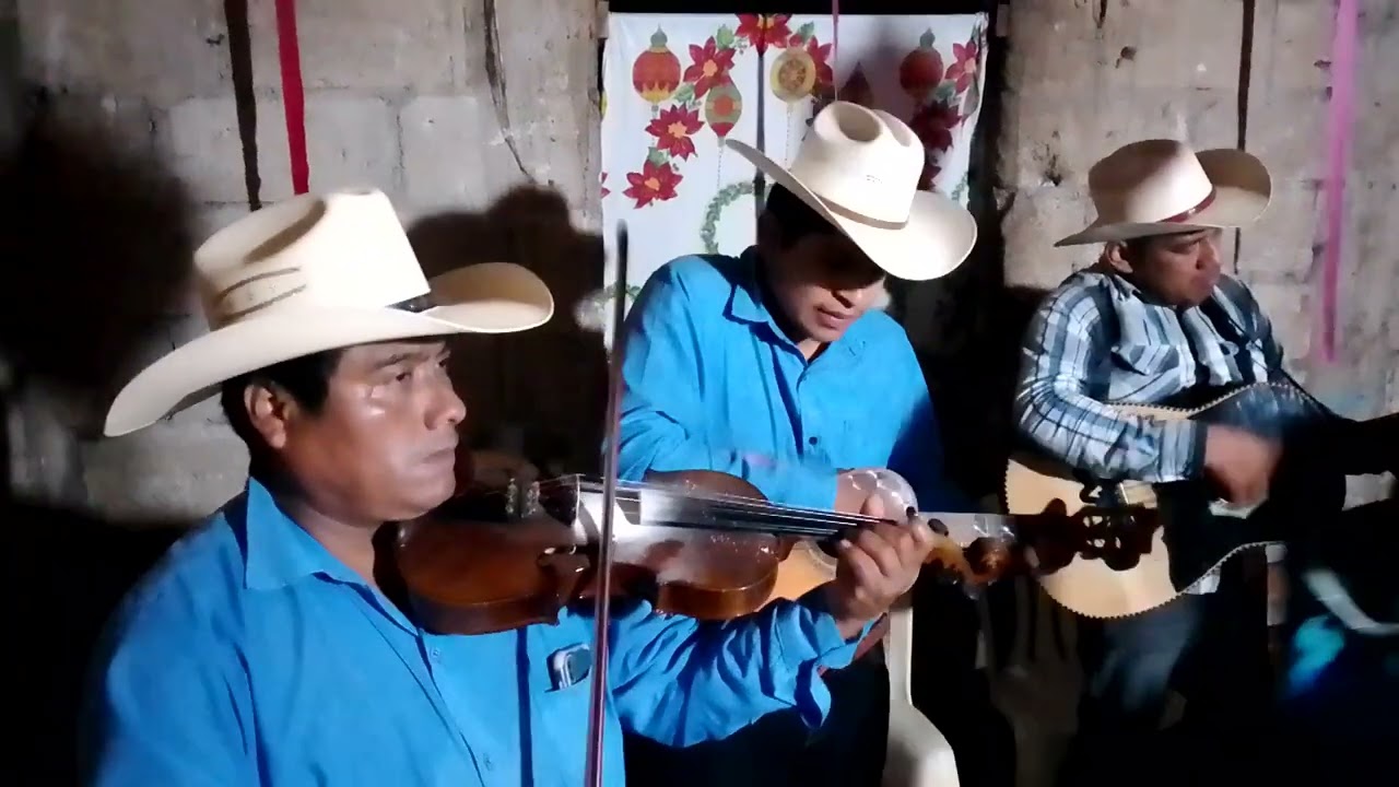 Así se baila y se disfruta el huapango en rancho alegre con el trio huapangueros diferentes 😉💃🕺(1)