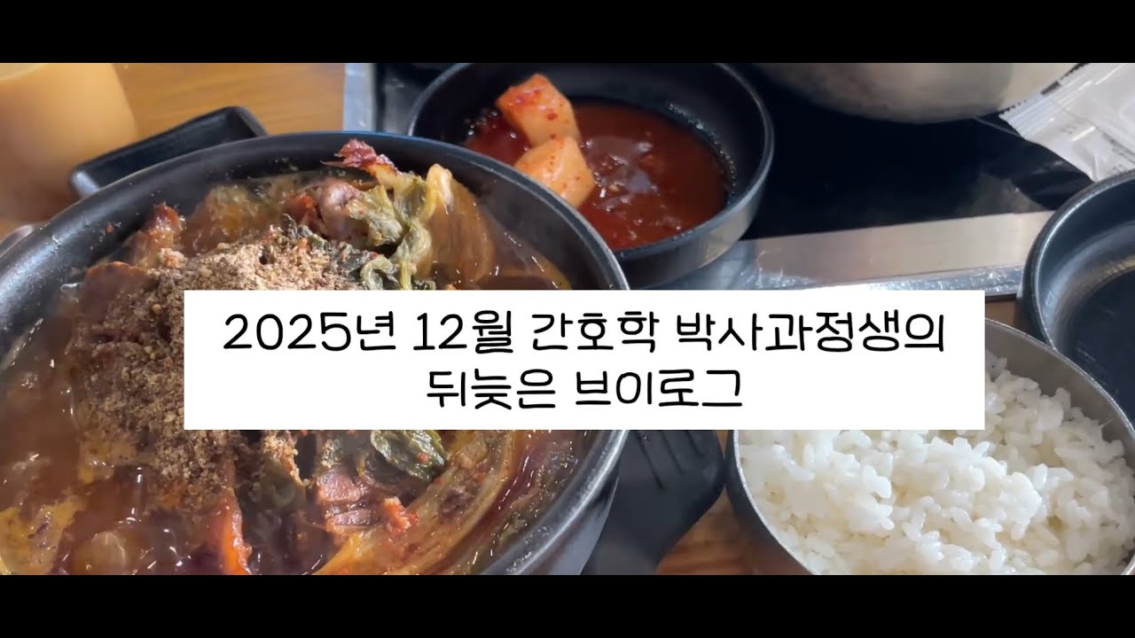 간호학 박사과정생의 뒤늦은 2025년 12월 브이로그