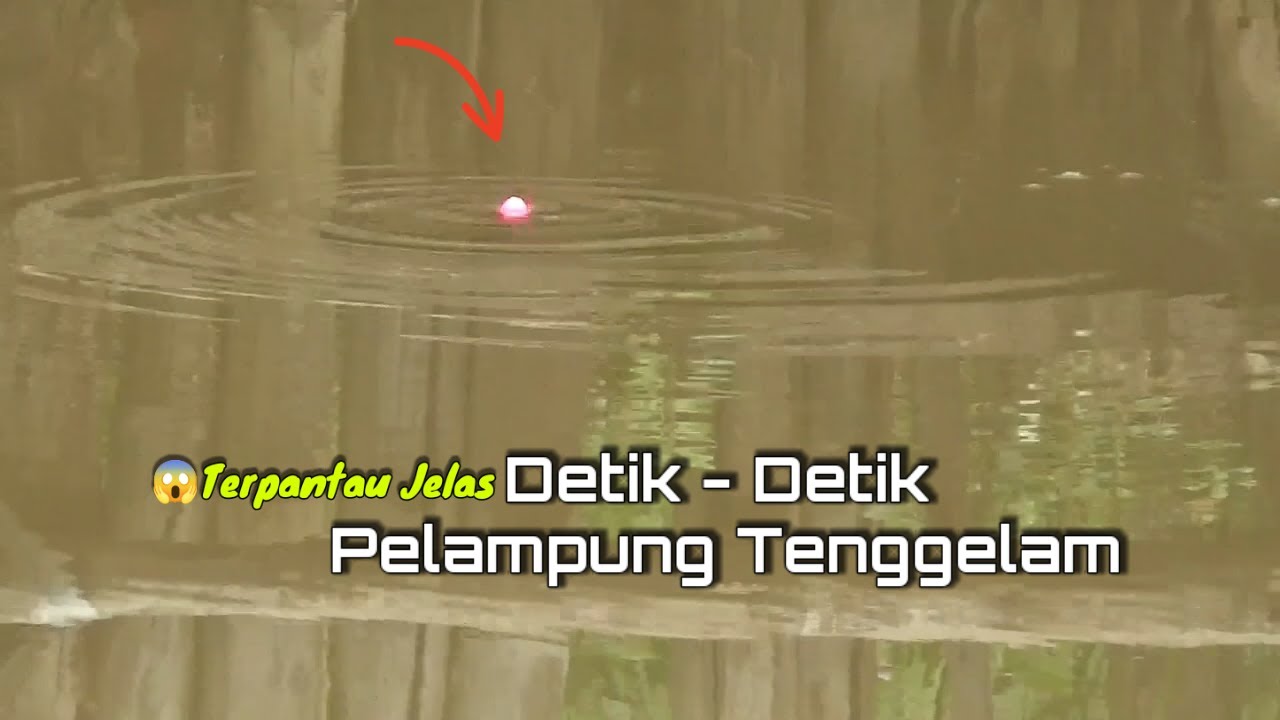 Mancing lele harian full pelampung ngetrik dan tenggelam #pelampungngetrikikanlele