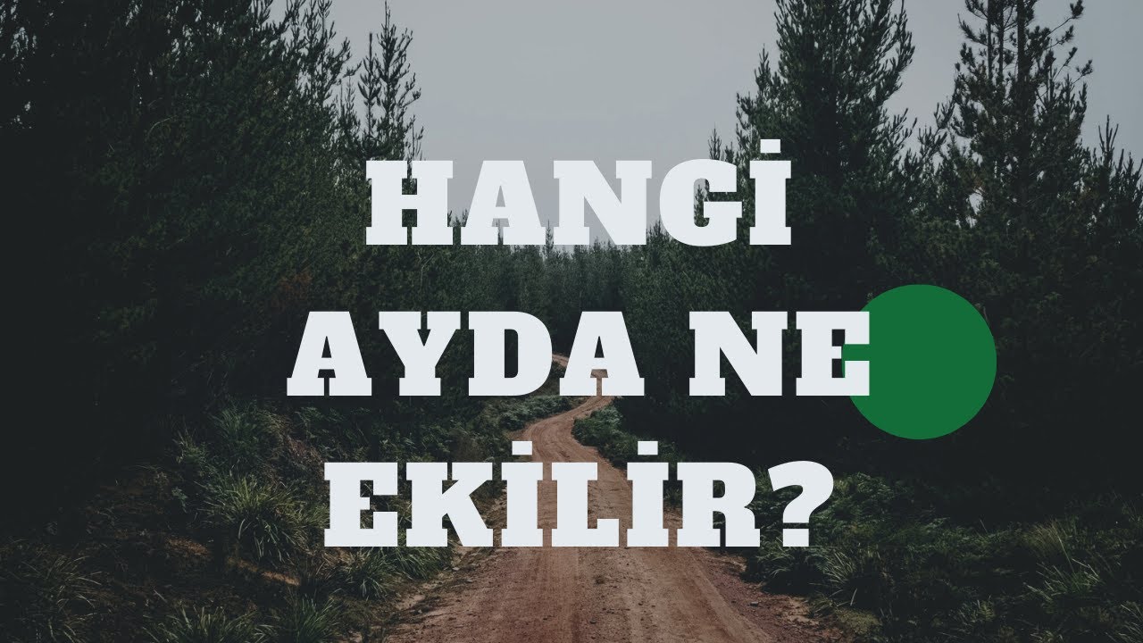 Hangi Ayda Ne Ekilir? Her Ay İçin Ekim Rehberi