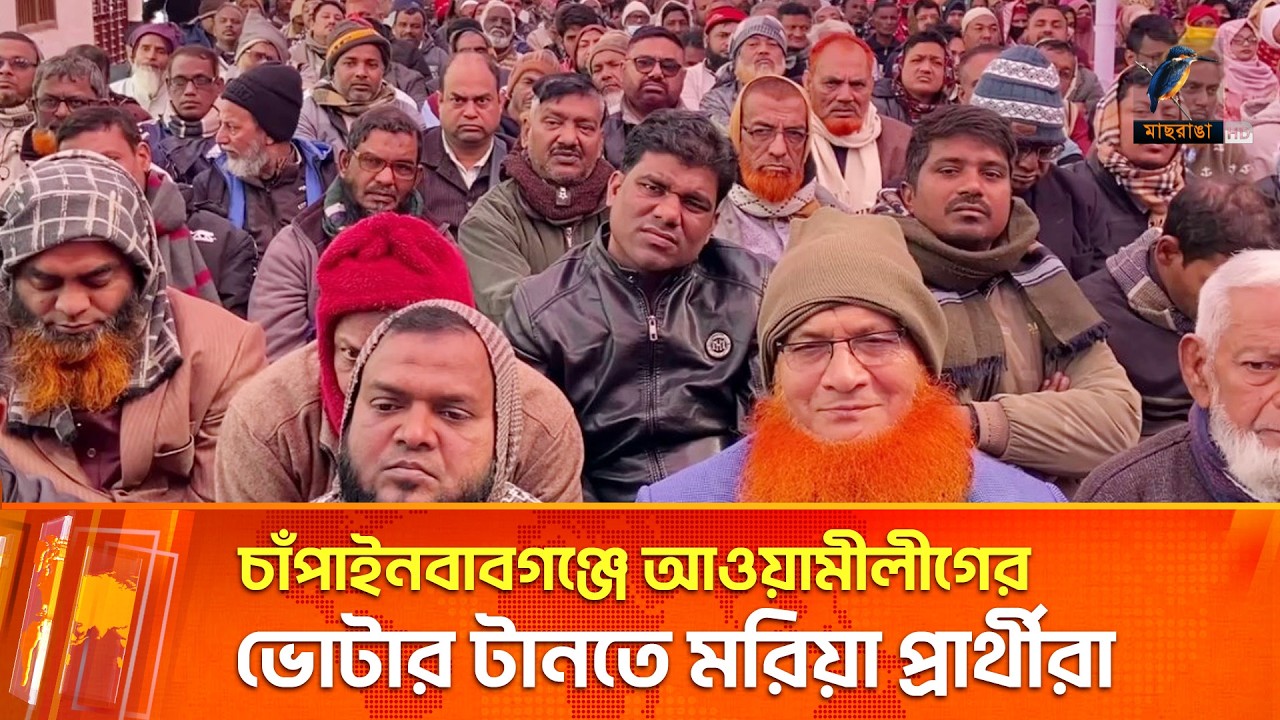 চাঁপাইনবাবগঞ্জে আওয়ামীলীগের ভোটার টানতে মরিয়া প্রার্থীরা | Maasranga News