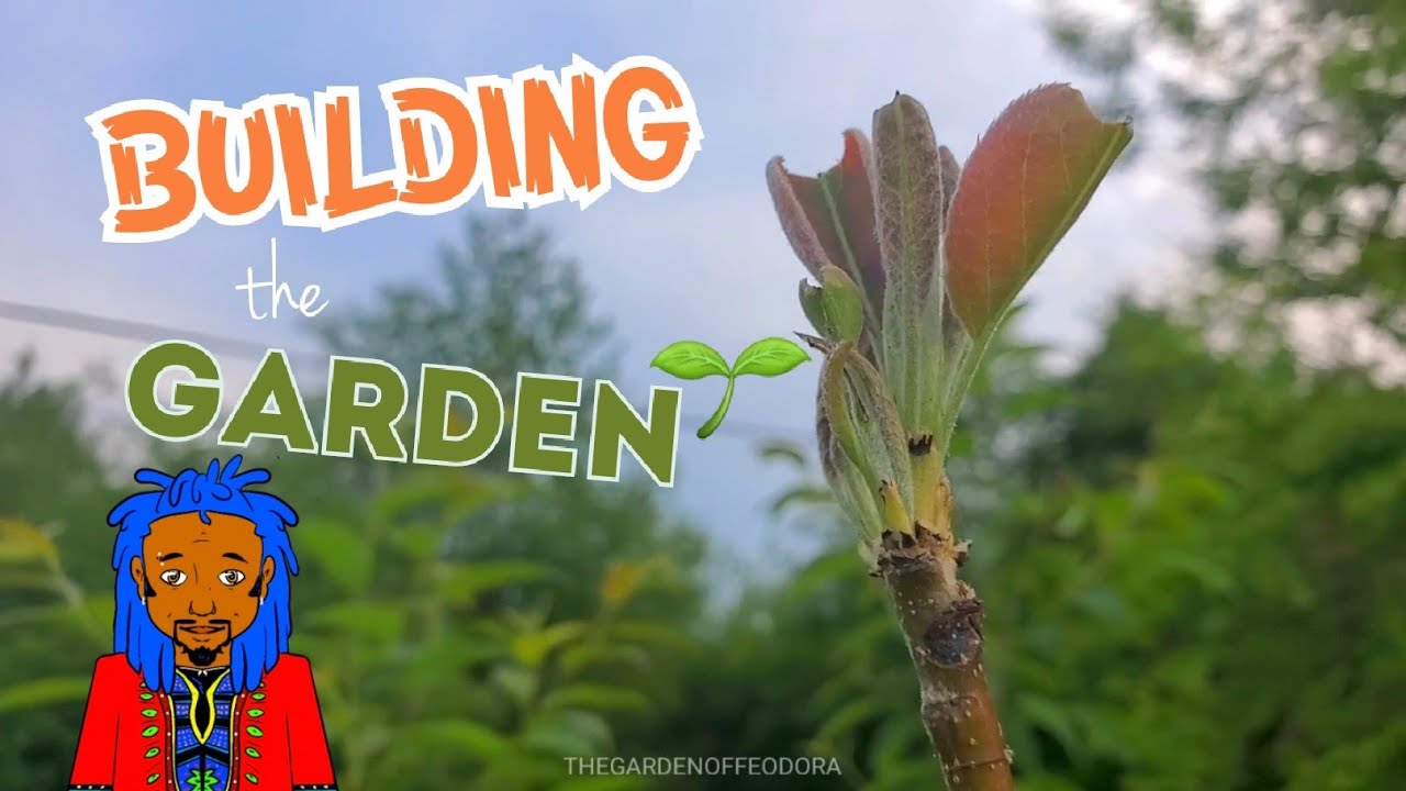 This Years GARDEN setup:  in The Garden of FEODORA