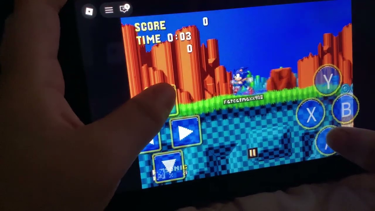 Playing sonic from roblox