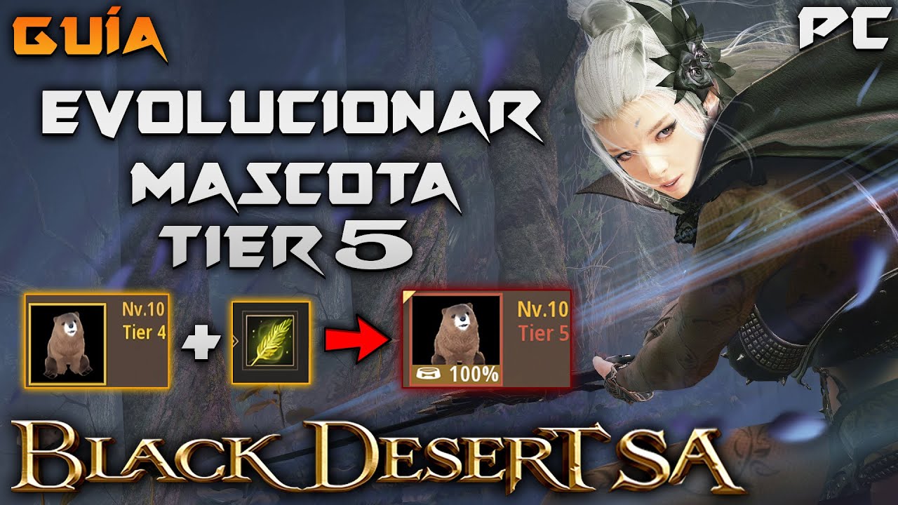 BLACK DESERT SA | COMO EVOLUCIONAR MASCOTA A Tier5 | Guía | Español | BDO | PC | 2022