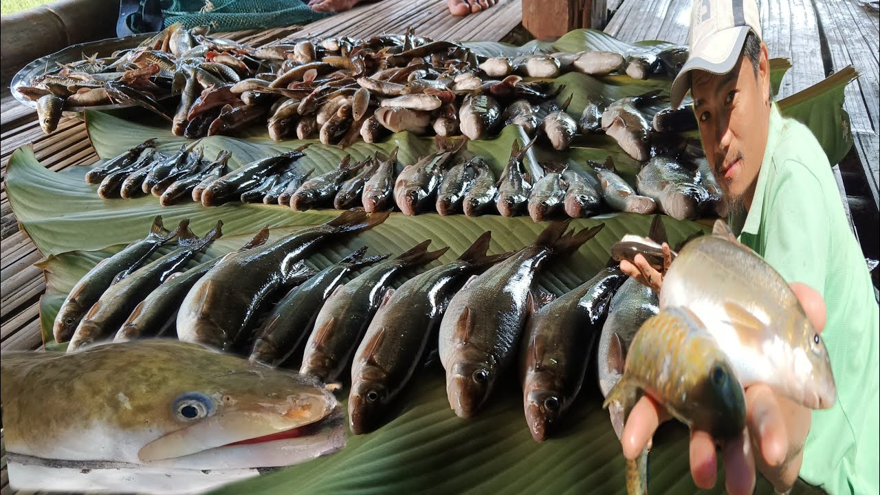 NON-STOP FISHING ADVENTURES (CAMP AND COOK)||NORTHEAST INDIA
