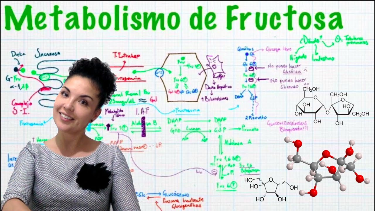 Metabolismo de Fructosa