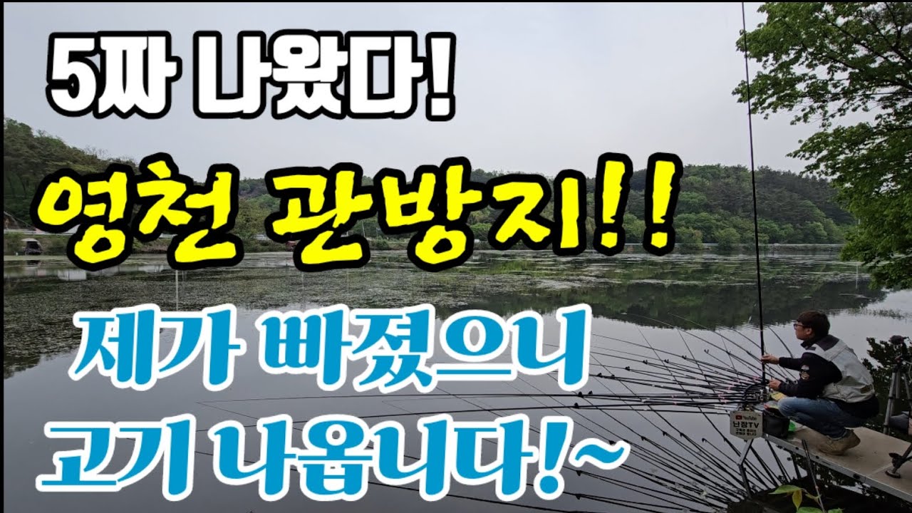 5짜 나온 영천 관방지!숨막히는 두번의 입질!!