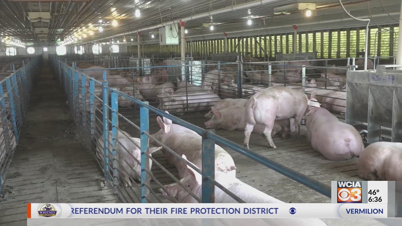From the Farm: Pork producers and mental health
