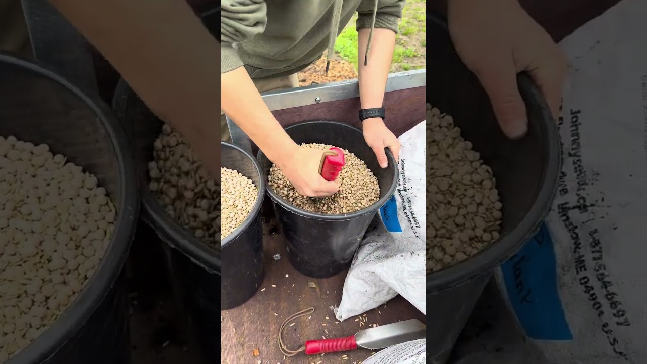How We Plant Cover Crops at Gaining Ground Farm #notill