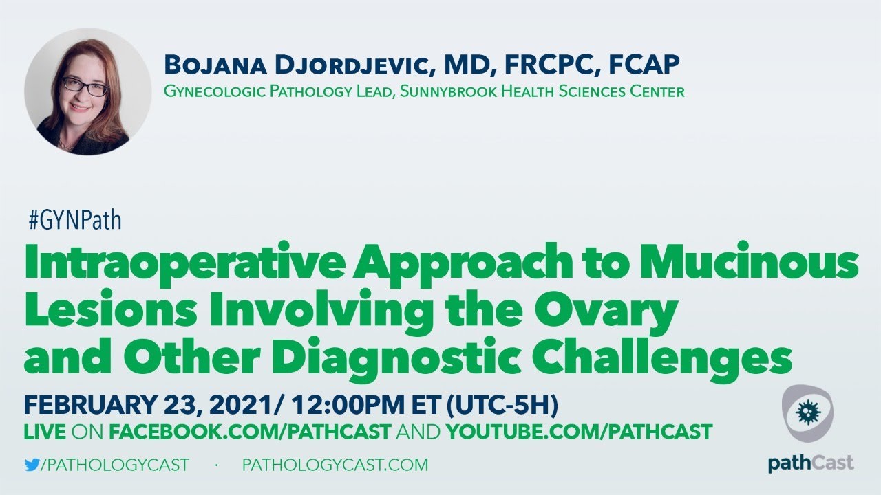 Intraoperative Approach to Mucinous Lesions Involving the Ovary - Dr. Djordjevic (Sunnybrook)