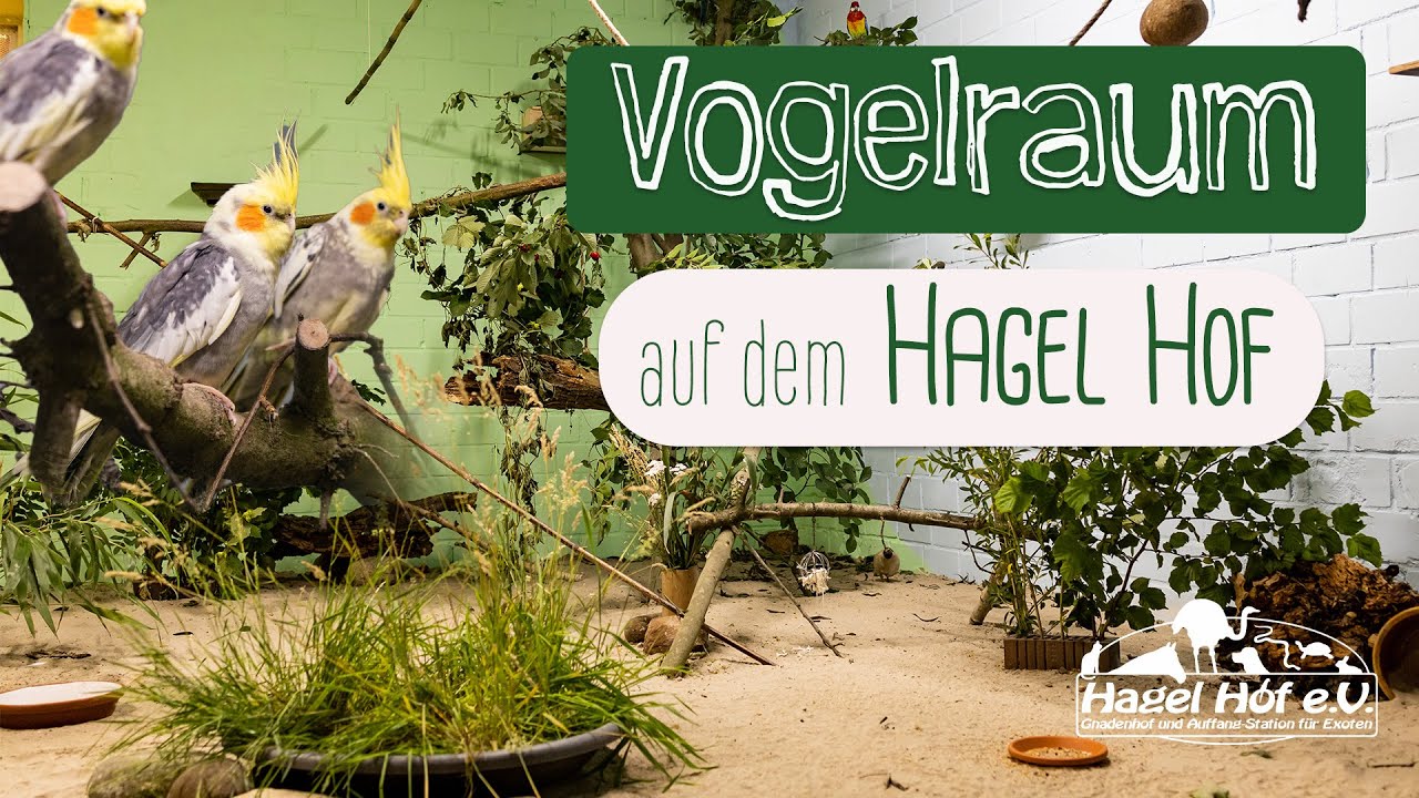 Hagel Hof e.V. // Der Vogelraum