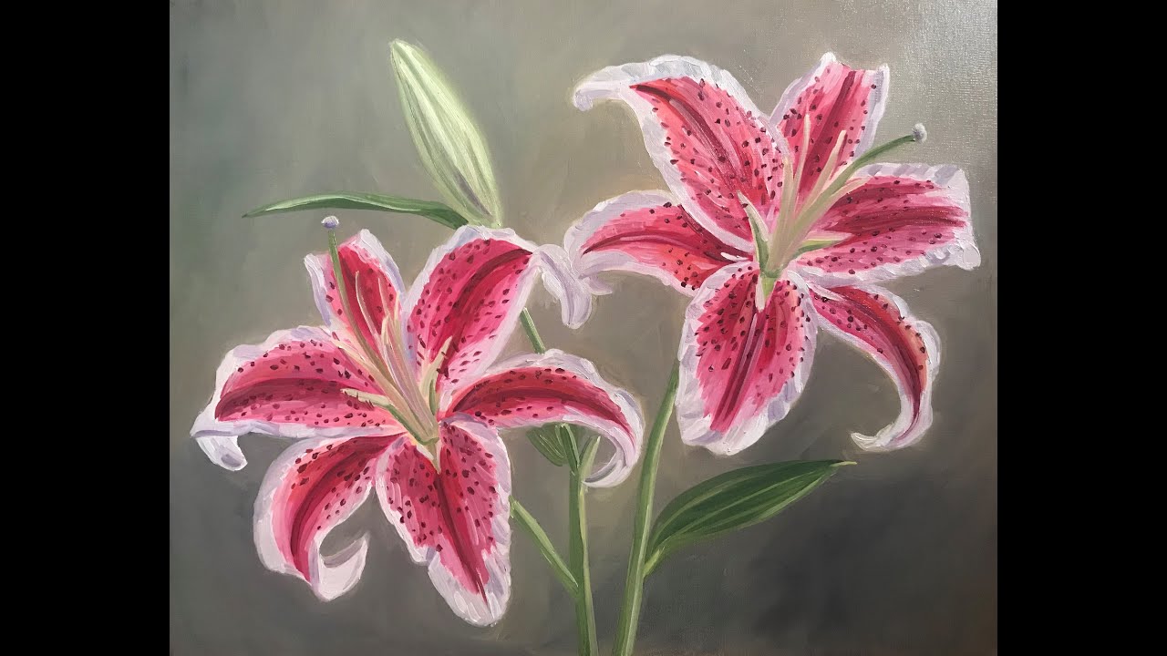 Stargazer Lily