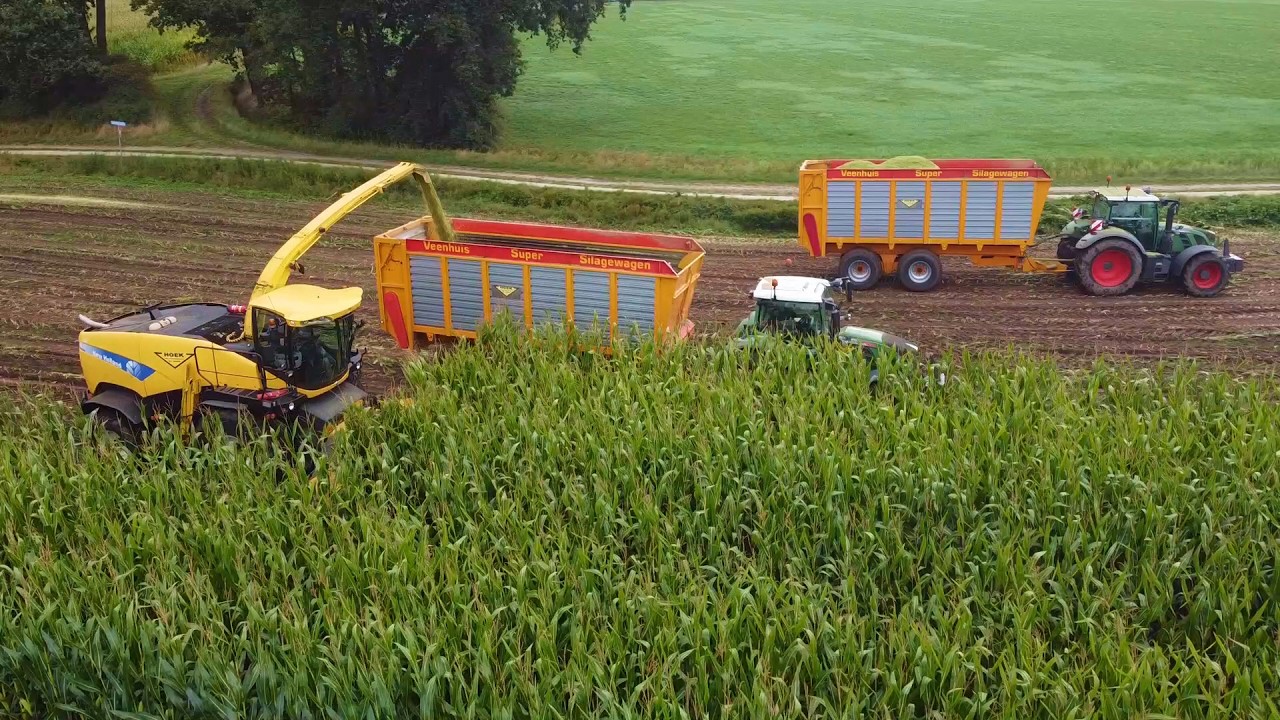 2026 Hoek chopping corn