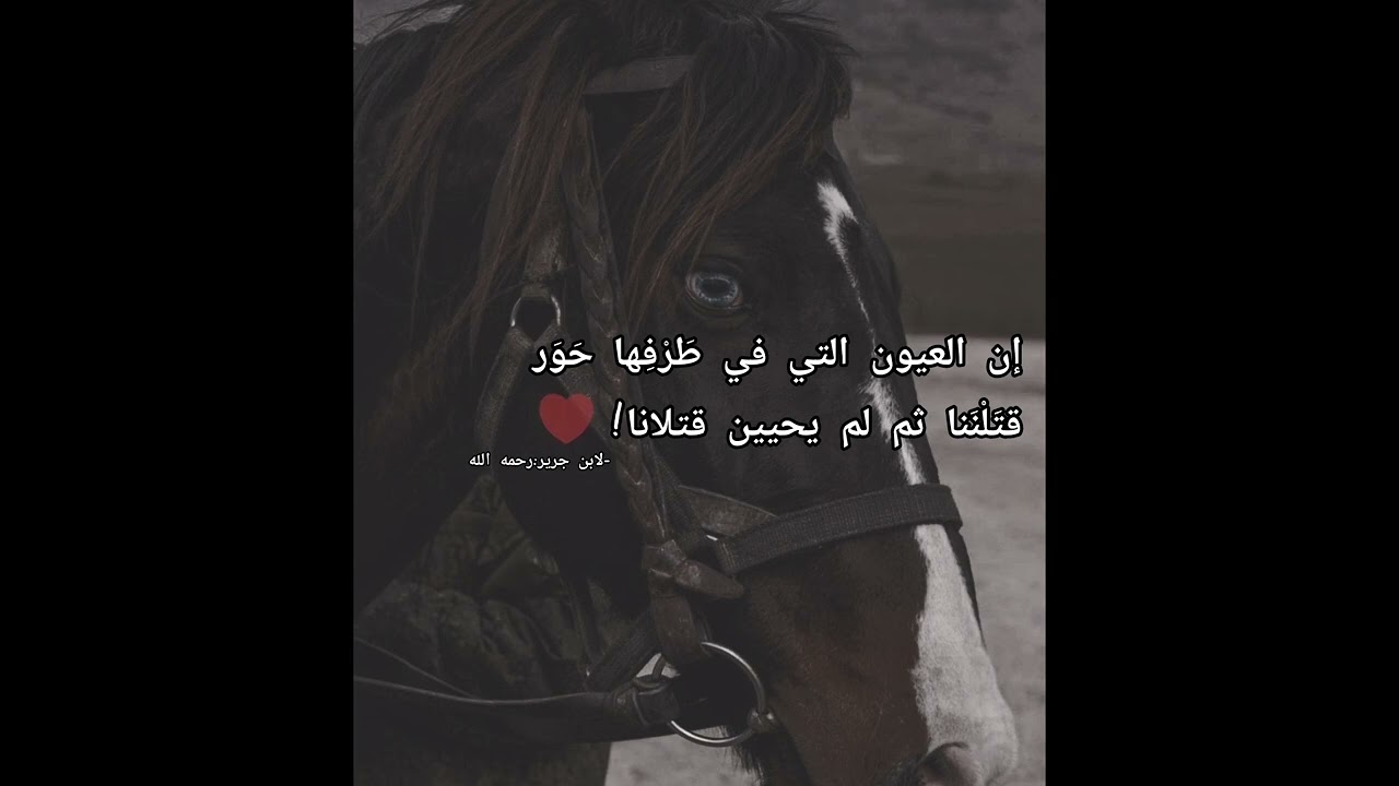 للمنشد أبو الزبير+ لابن جرير رحمه الله-قصائد عبدالله الخالد