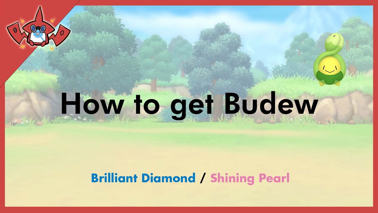 How to get Budew in Pokemon Brilliant Diamond & Shining Pearl [#406]