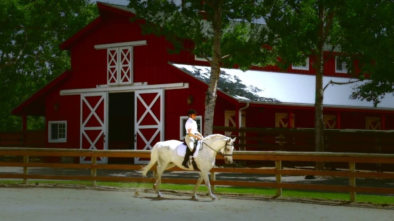 Stock Farm Club, Hamilton, Montana