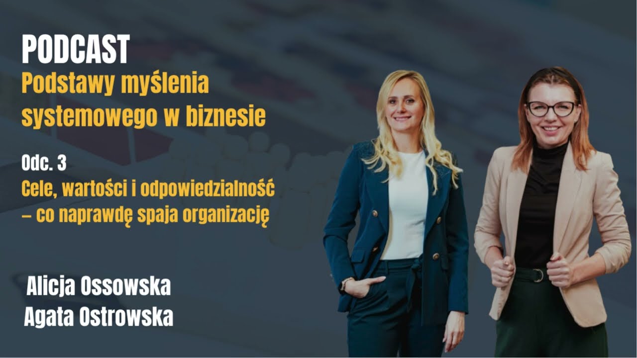 Podstawy myślenia systemowego w biznesie, odcinek 3