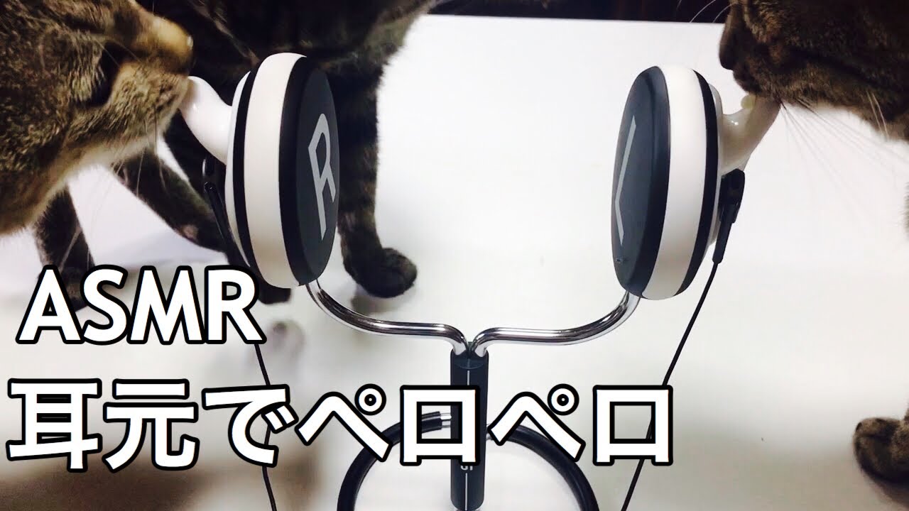 猫が耳元でちゅーるーを舐める音 ASMR
