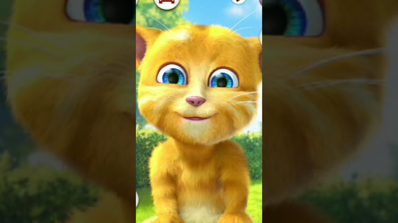 Ding Dong Tom