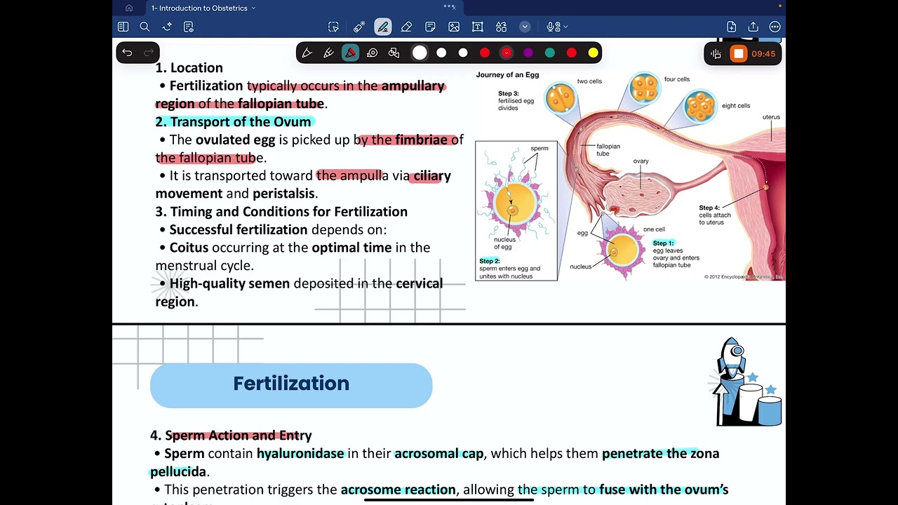 1- Introduction to Obstetrics 