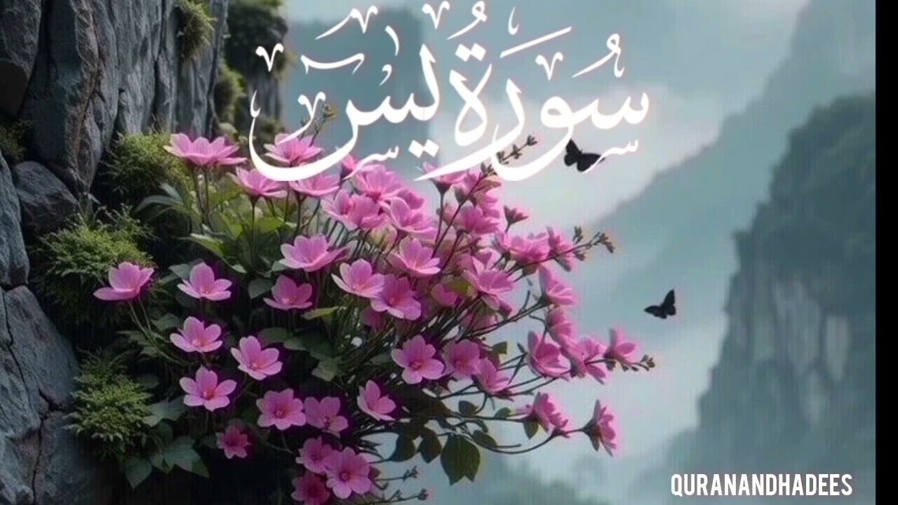 Surah Yaseen full | Quran ka dil | Dil ka sakoon deny wali | EP-186