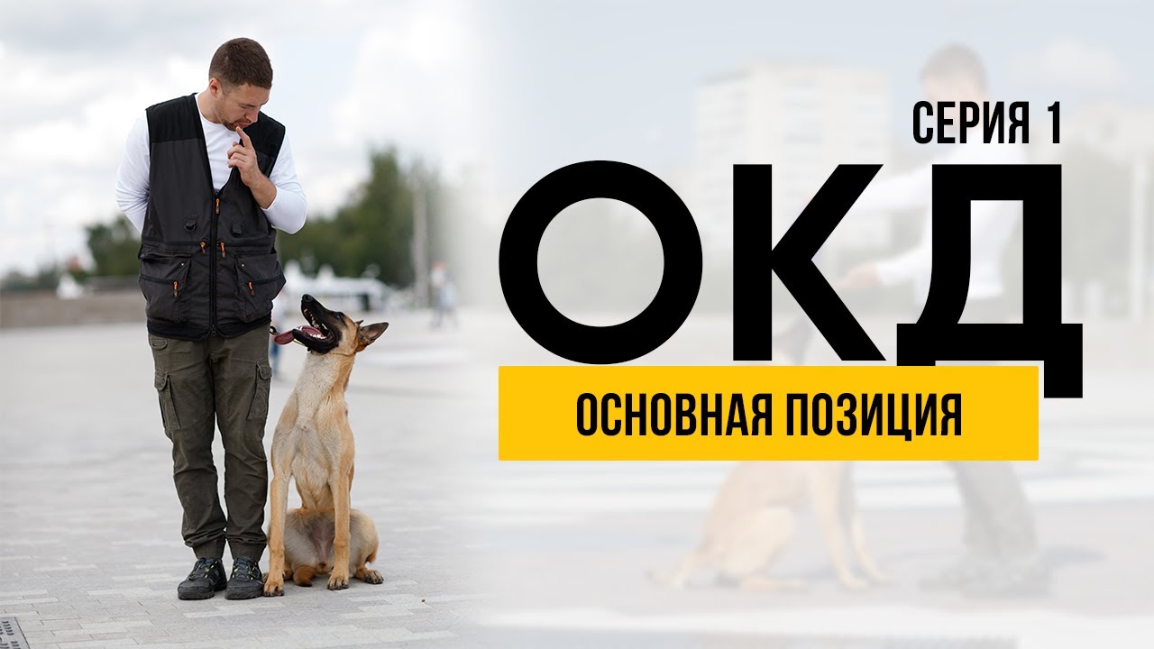 ОКД. Основная позиция. Серия 1