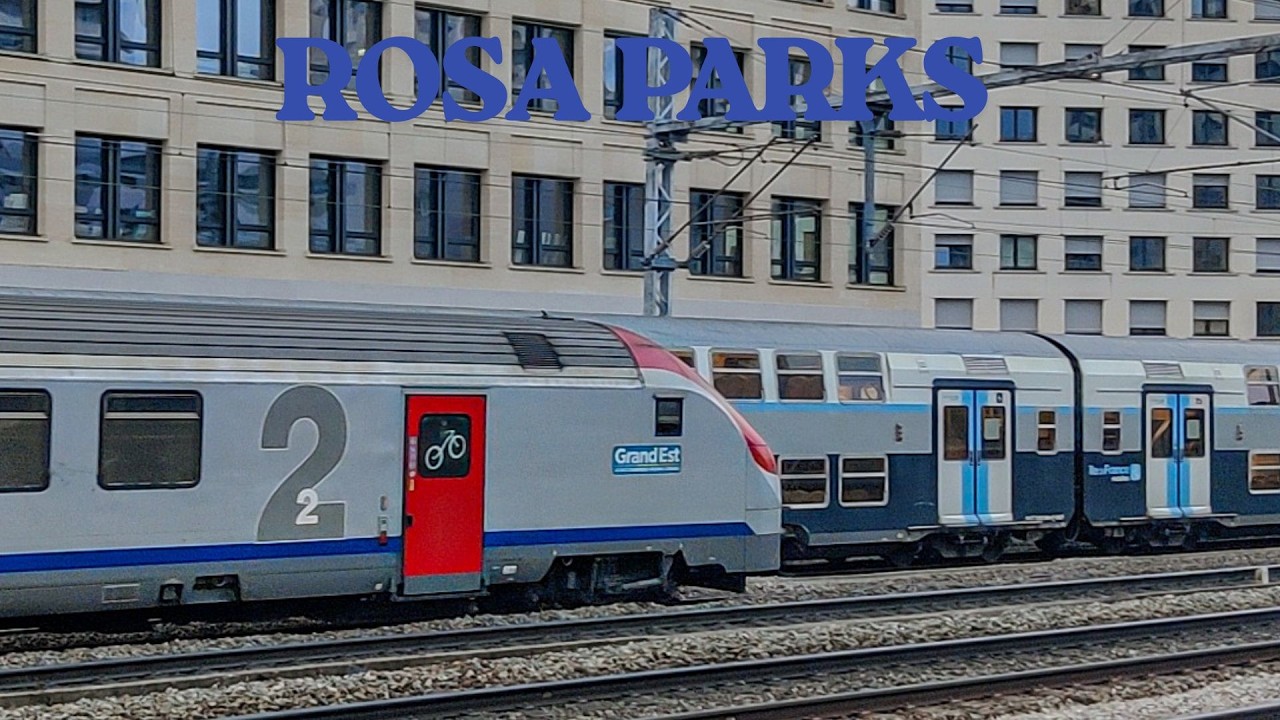 Quelques trains en gare de Rosa Parks !