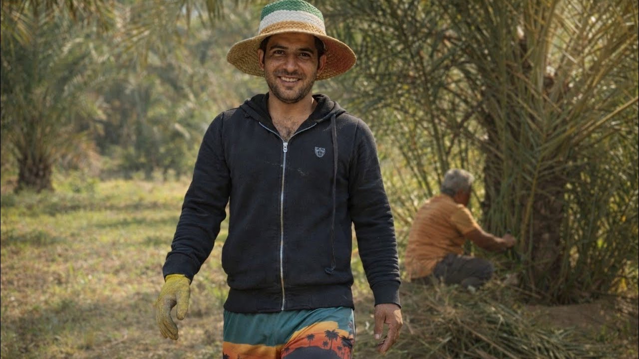 No Machines. Just Real Date Palm Pruning