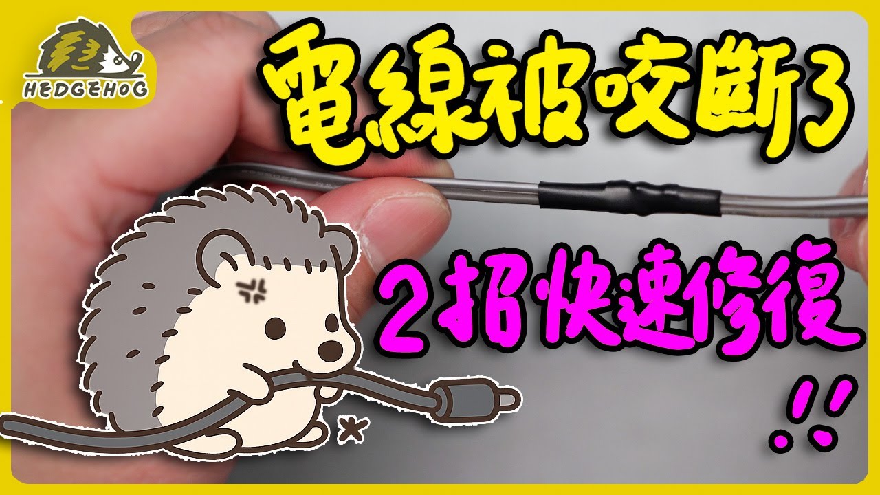 變壓器電線被寵物咬斷？教你完整修復方法與防咬線材技巧！