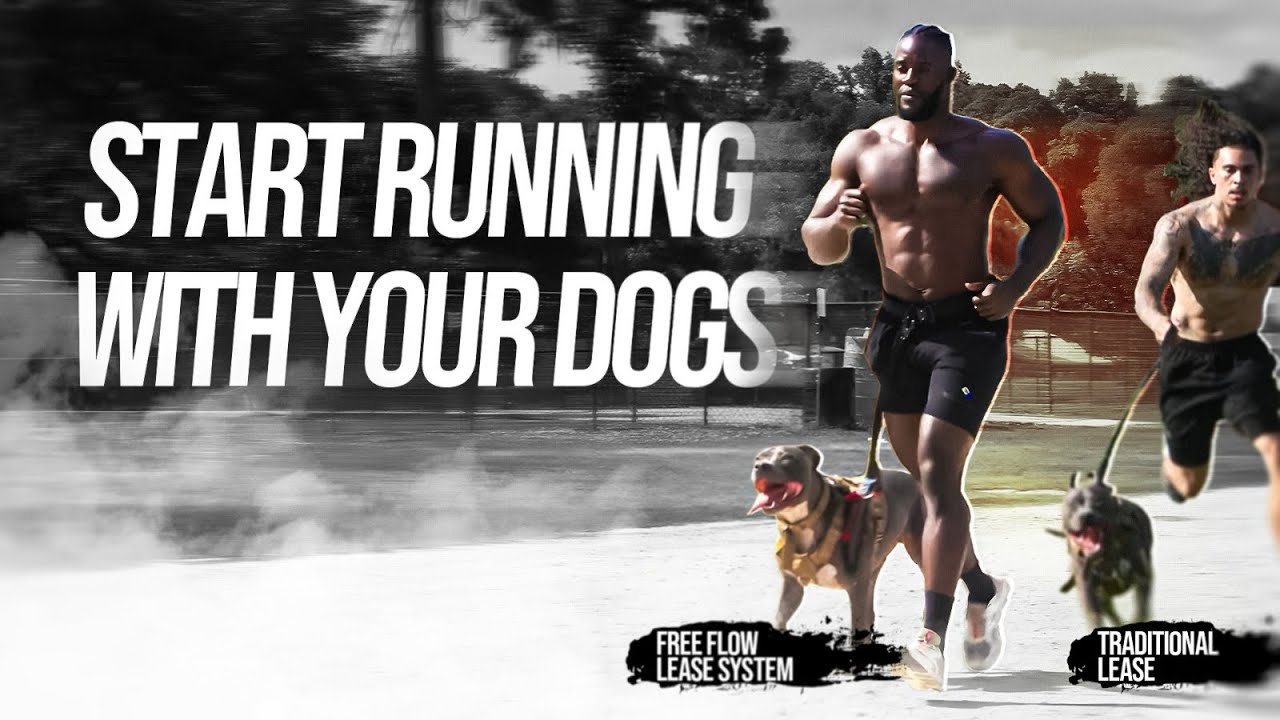 Beginner's Guide to Running with Your Dog