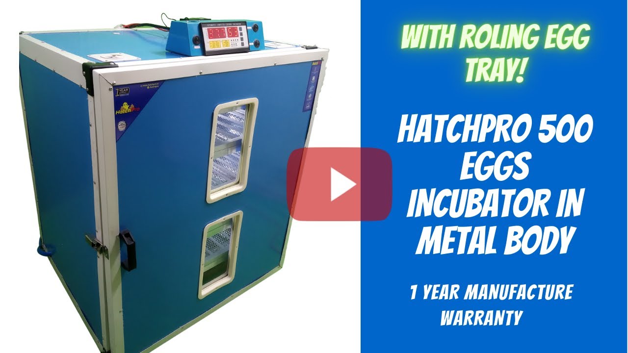 Hatchpro 500 egg incubator automatic ( High quality incubator)