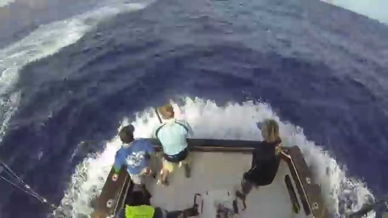 Cape Verde Blue Marlin 2015 Bonze lures & Peak Sportfishing