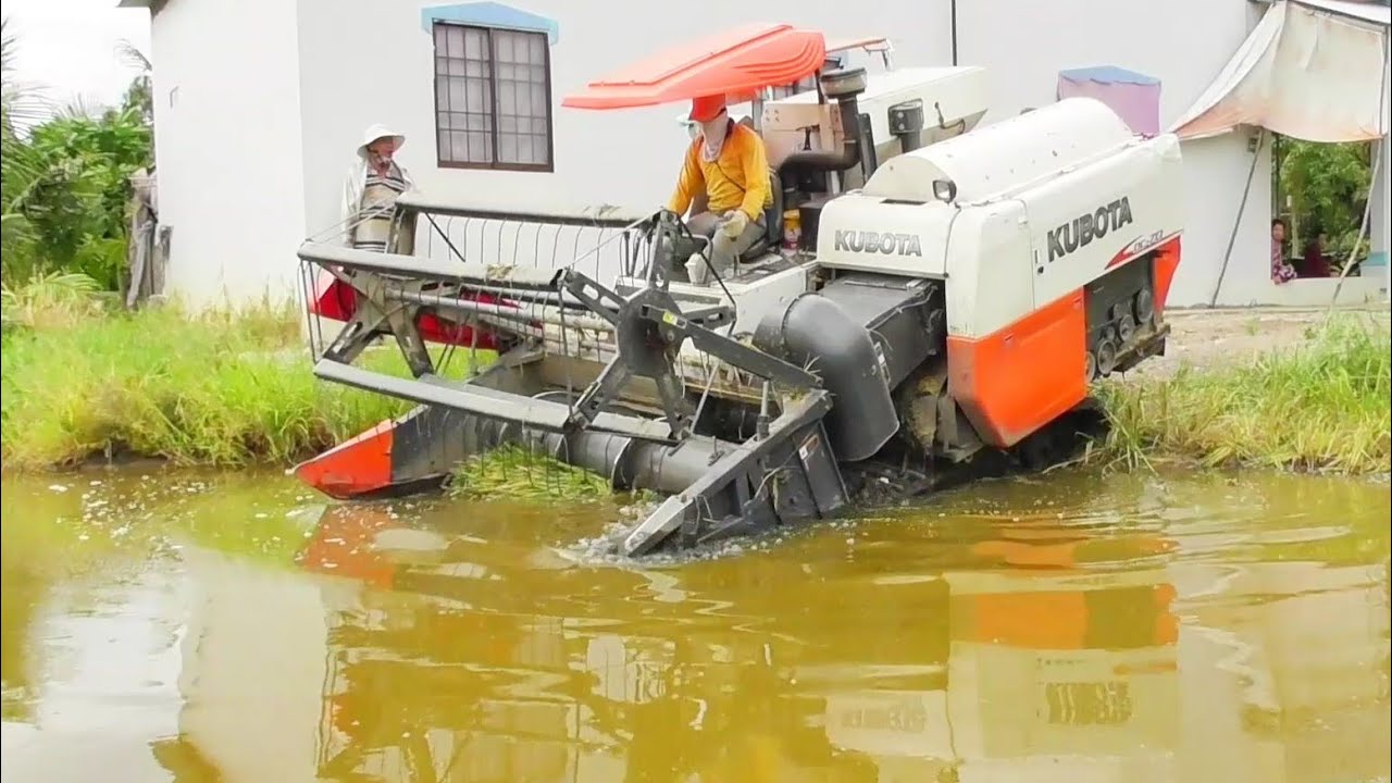 QUAY CẢNH MÁY CẮT LÚA KUBOTA DC70 CẮT LÚA VUÔNG TÔM CẤM ĐẦU