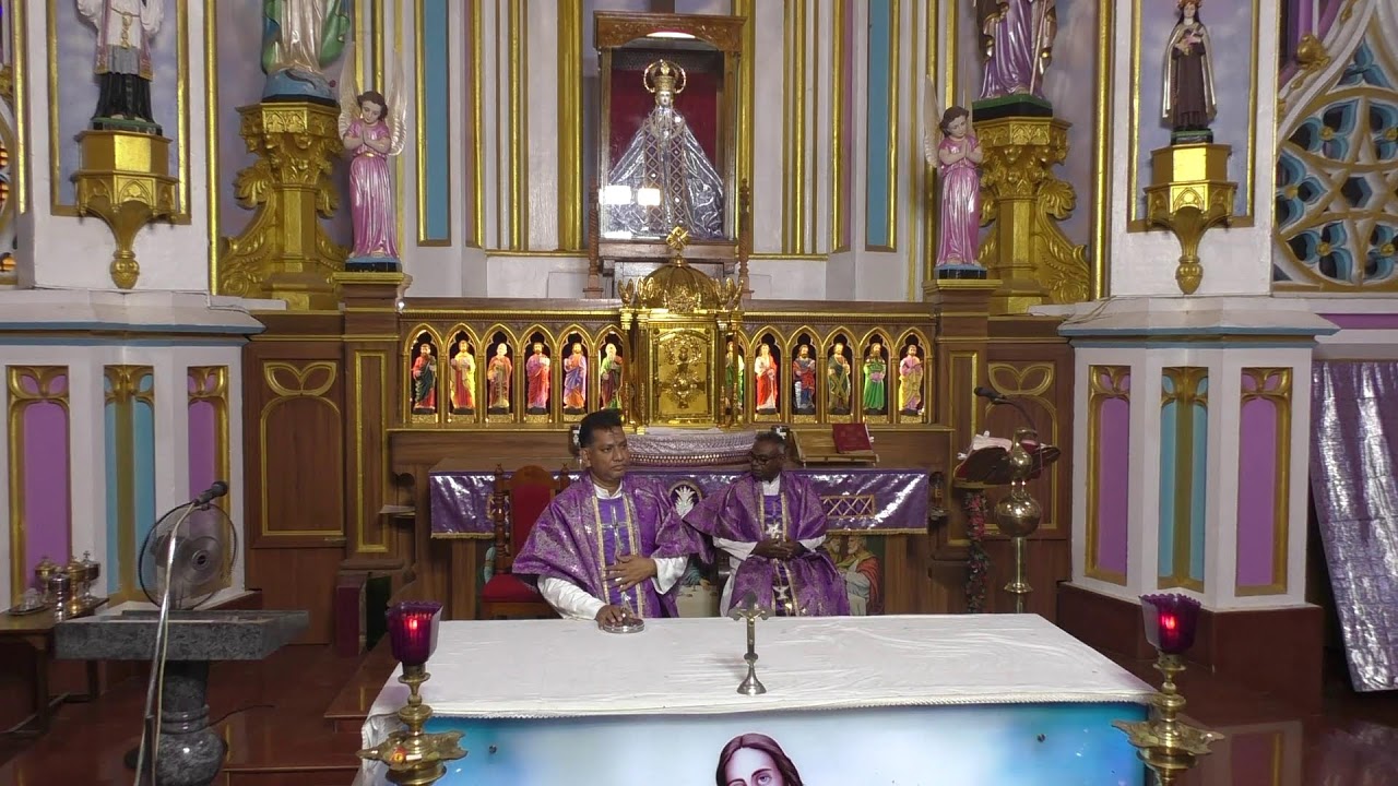 ༺♰༻ 🅛🅘🅥🅔 𝑽𝒂𝒅𝒂𝒗𝒂𝒊 𝑷𝒂𝒓𝒂𝒍𝒐𝒈𝒂 𝑴𝒂𝒕𝒉𝒂 - Festival Mass in Tamil -  2025 - திருப்பலி