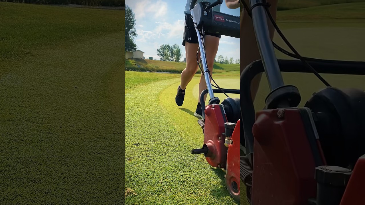 The perfect cut #golf #asmr #mowing #satisfying