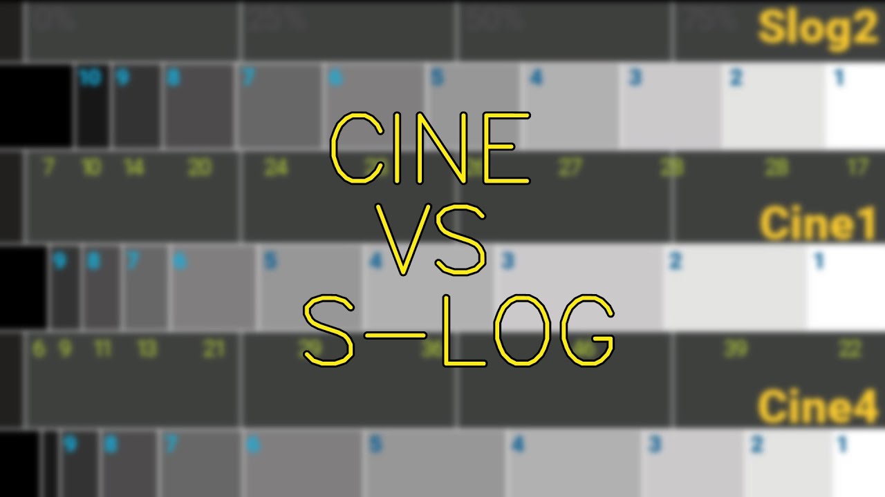 A7sii Setup Menu Picture Profile Cine 4 & Slog2 for Dynamic Range DJ Cutt